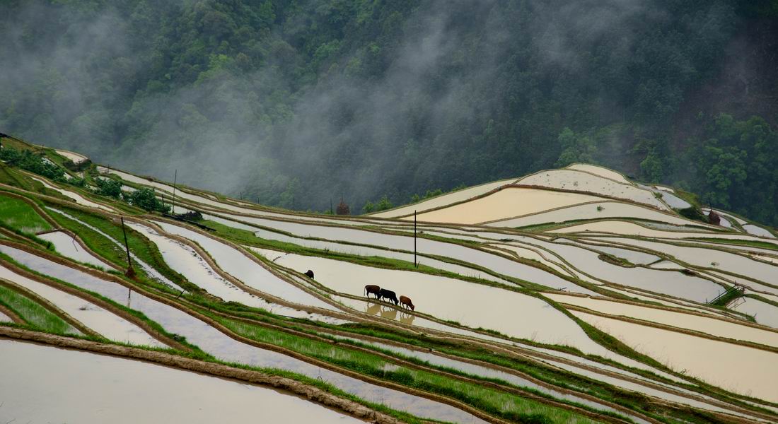 调整大小 DSC_8630.JPG