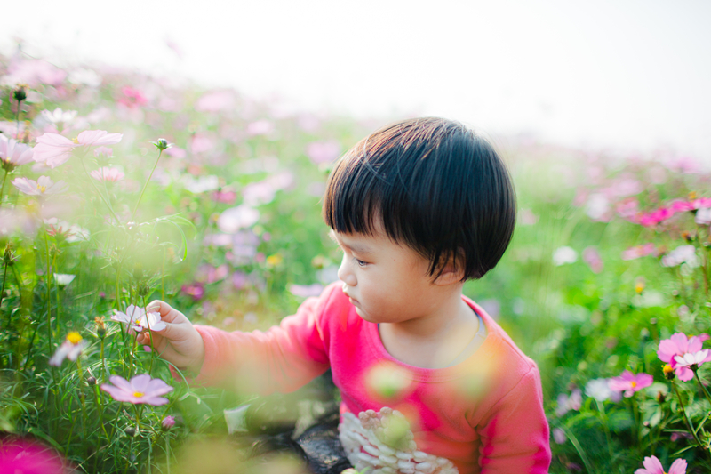 有些花儿比侄女还要高，小家伙如小鹿在丛林之间欢快的跳跃.jpg