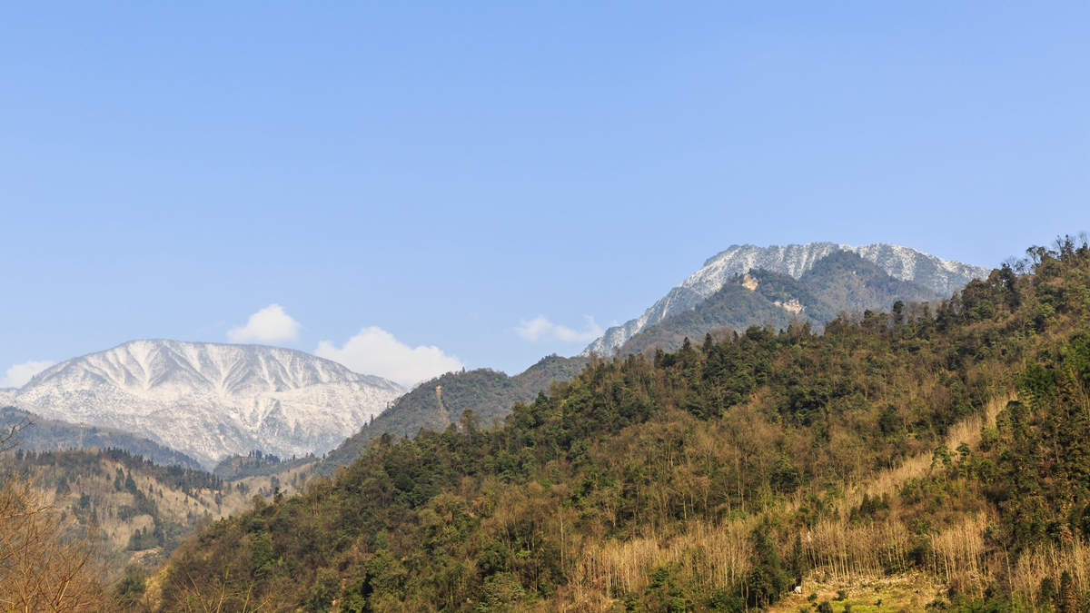 西岭雪山-1_副本.jpg