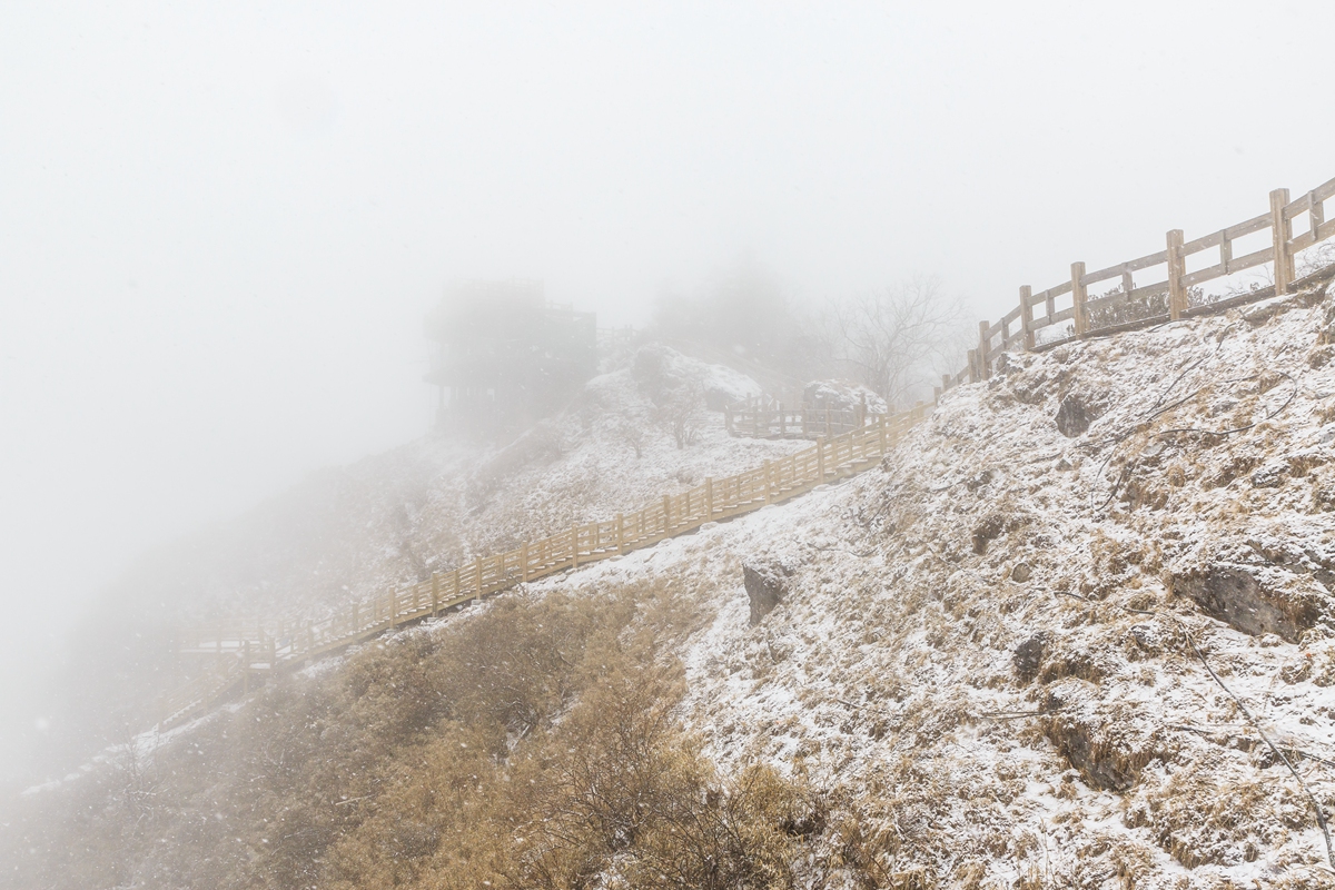 西岭雪山-5_副本.jpg