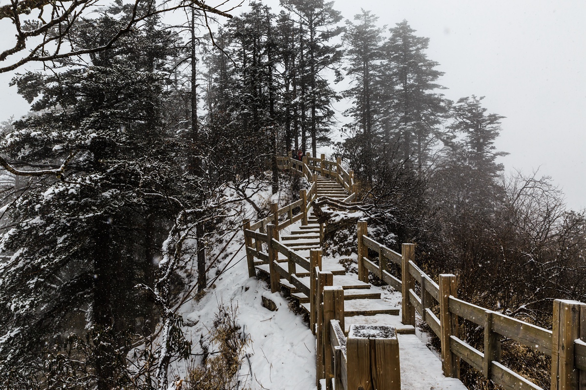 西岭雪山-7_副本.jpg