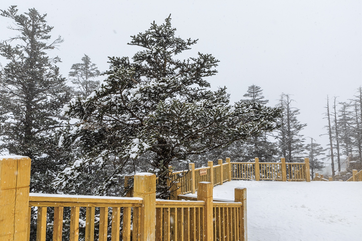 西岭雪山-12_副本.jpg