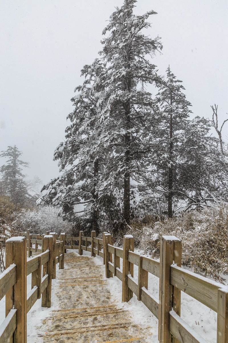 西岭雪山-15_副本.jpg