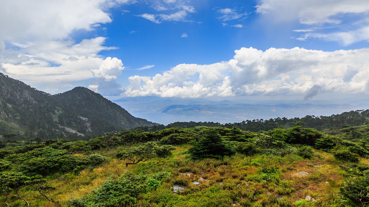 苍山-2_副本.jpg