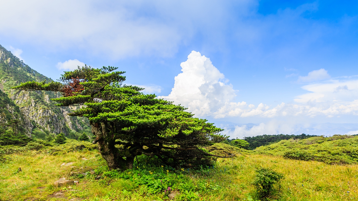 苍山-7_副本.jpg