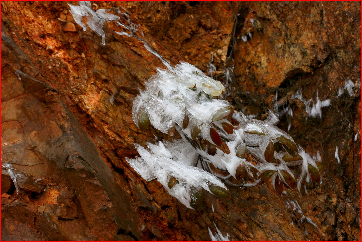 溢门界雪景5056副本.jpg