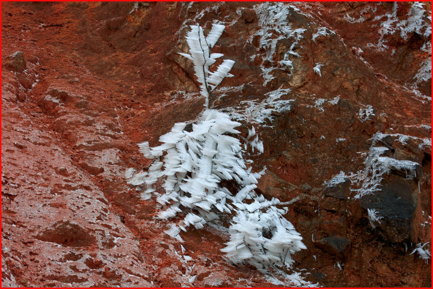 溢门界雪景5058副本.jpg