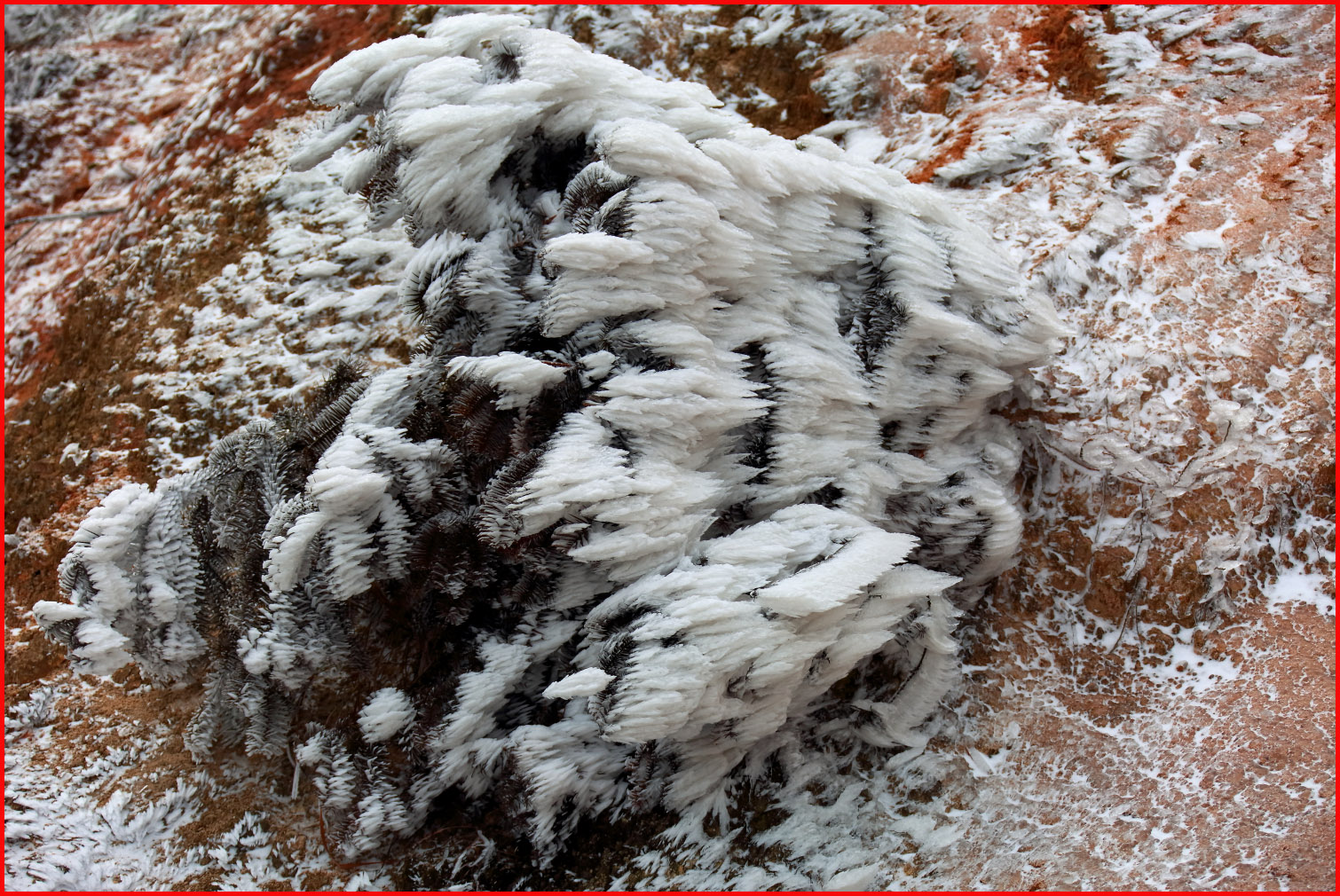 溢门界雪景5070副本.jpg