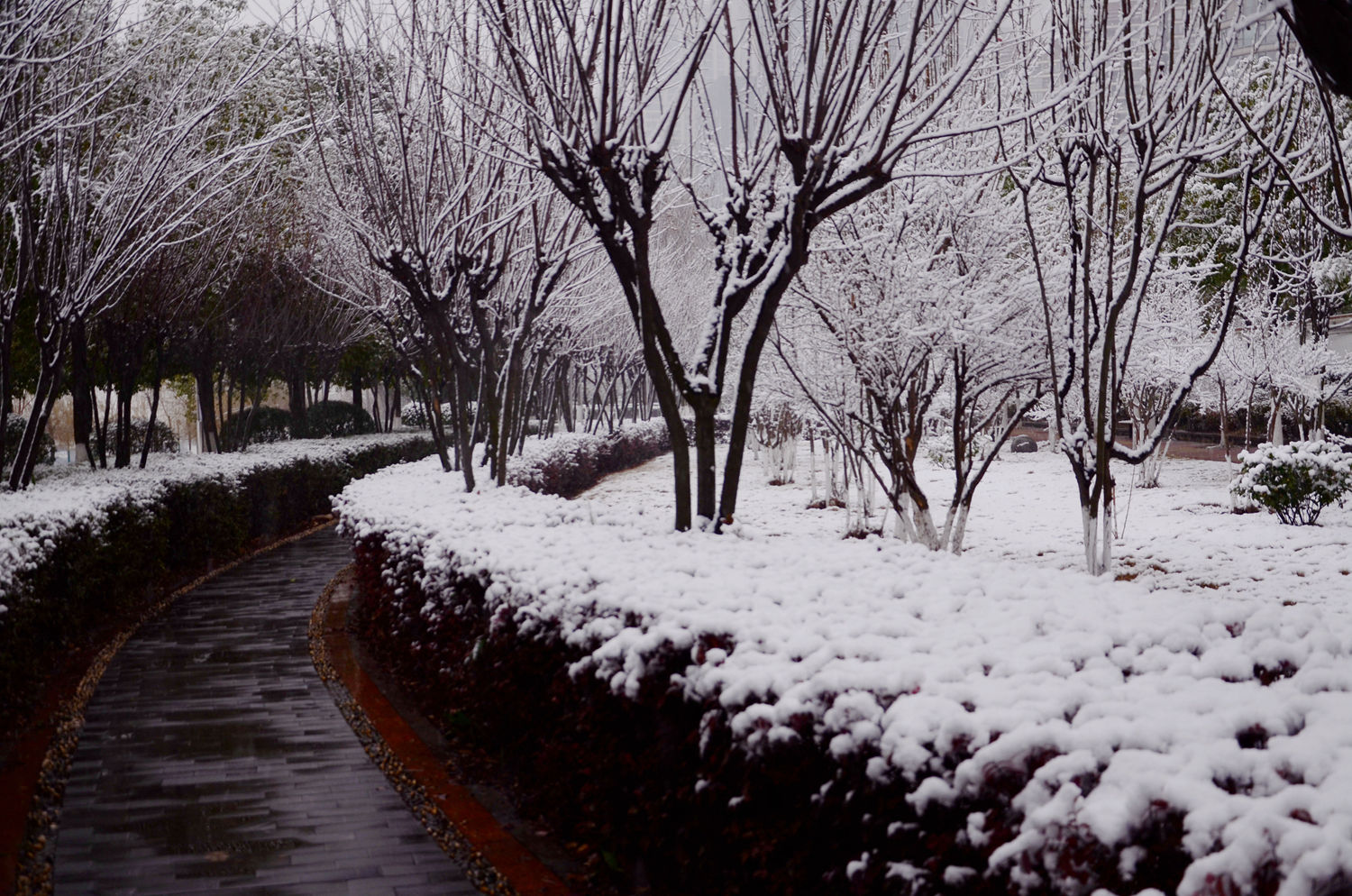 武汉江滩雪景