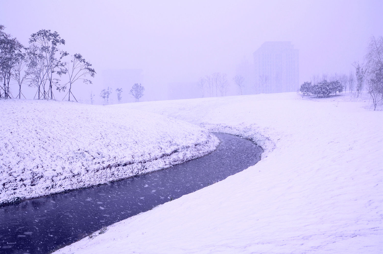 雪做即景----沙湖公园