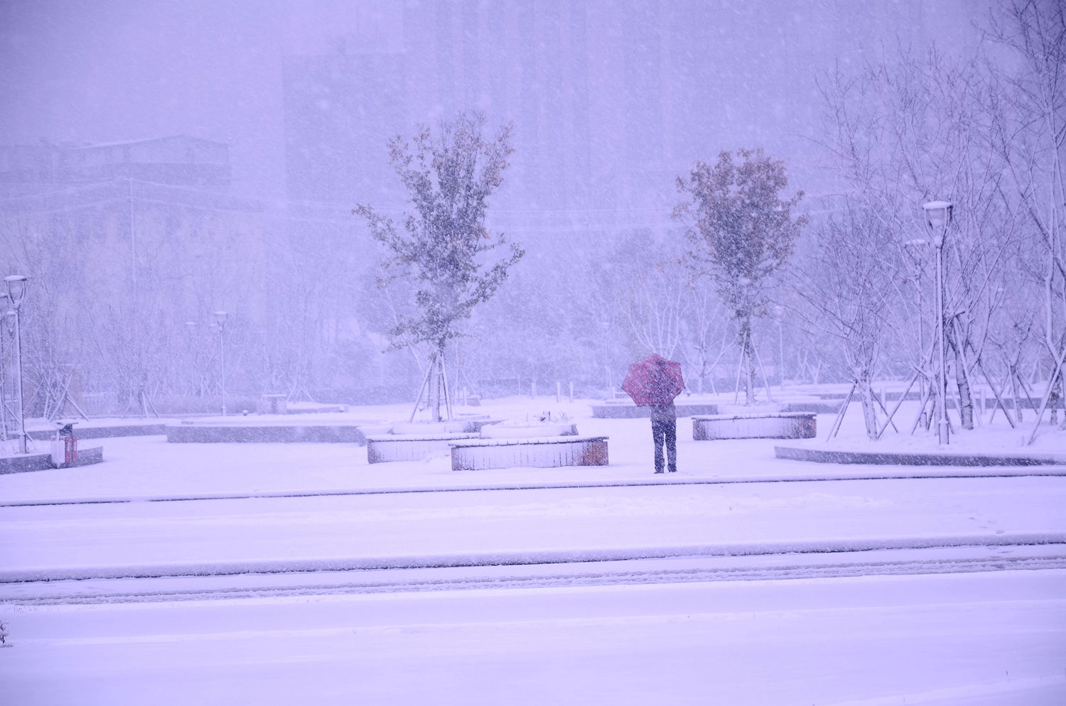 雪做即景----沙湖公园