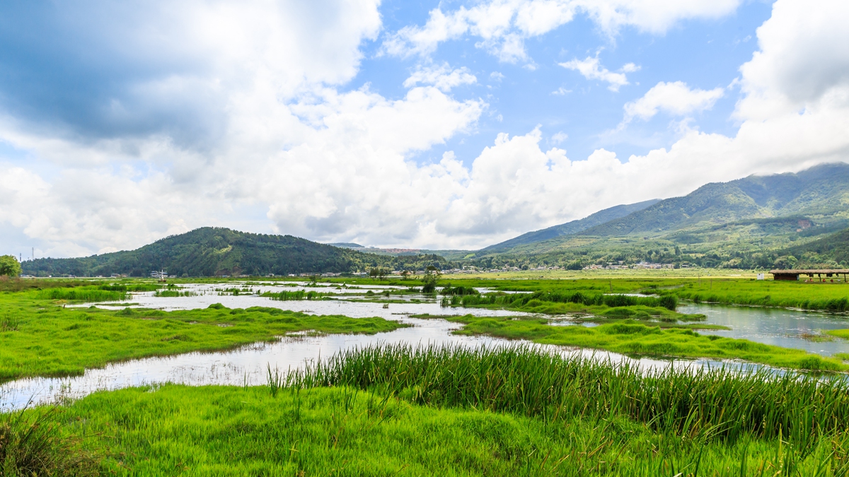 北海湿地1.jpg