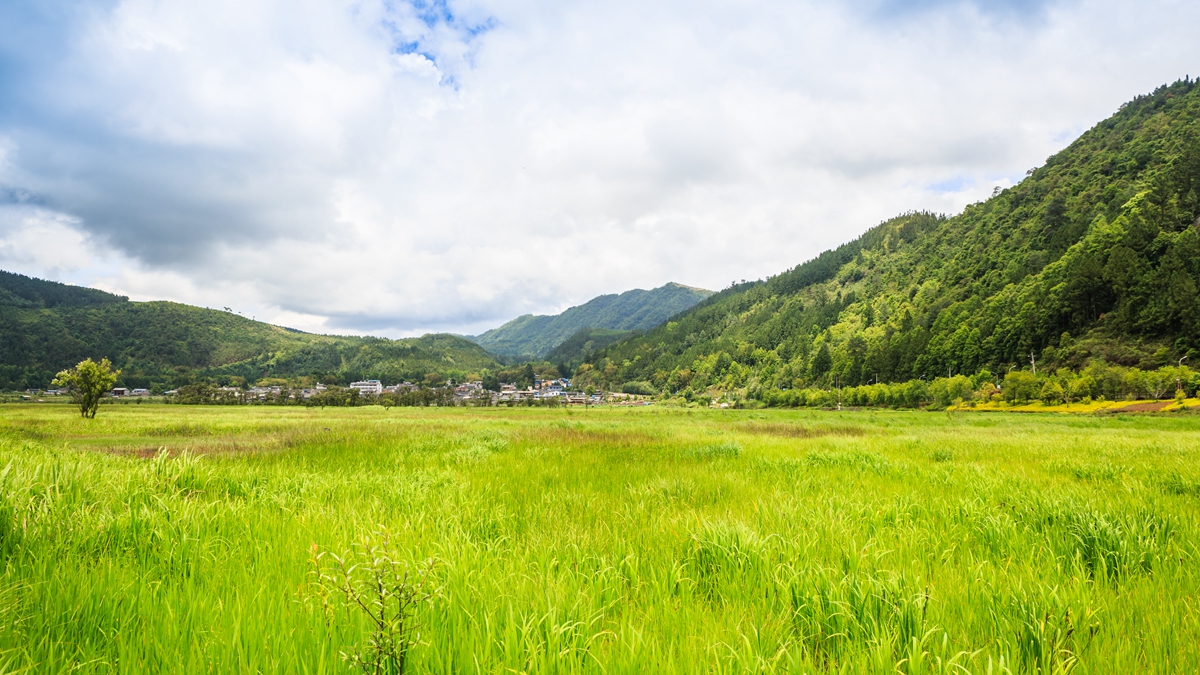 北海湿地2.jpg