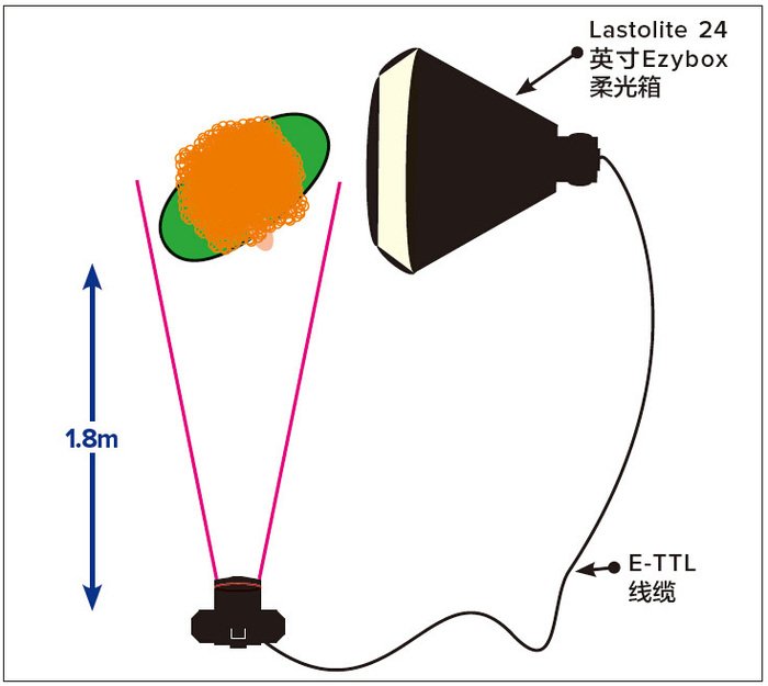 021150LCb.jpg