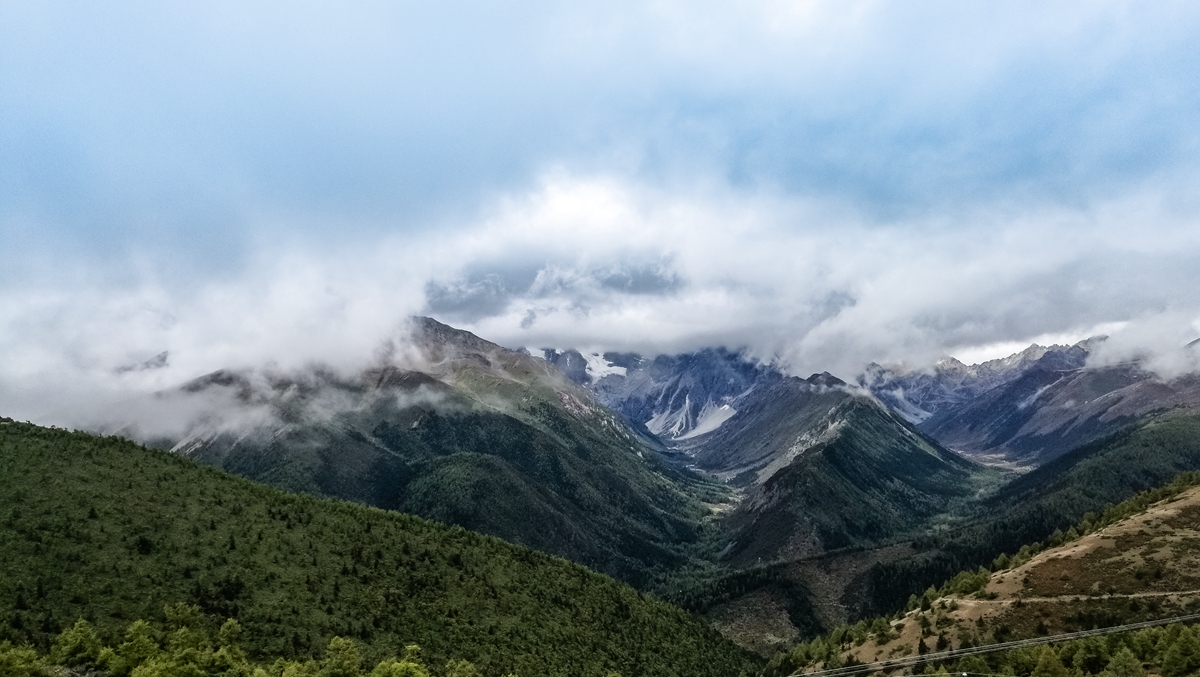 白马雪山-1.jpg