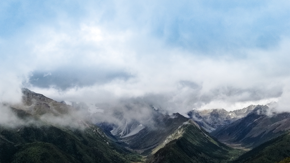 白马雪山-2.jpg