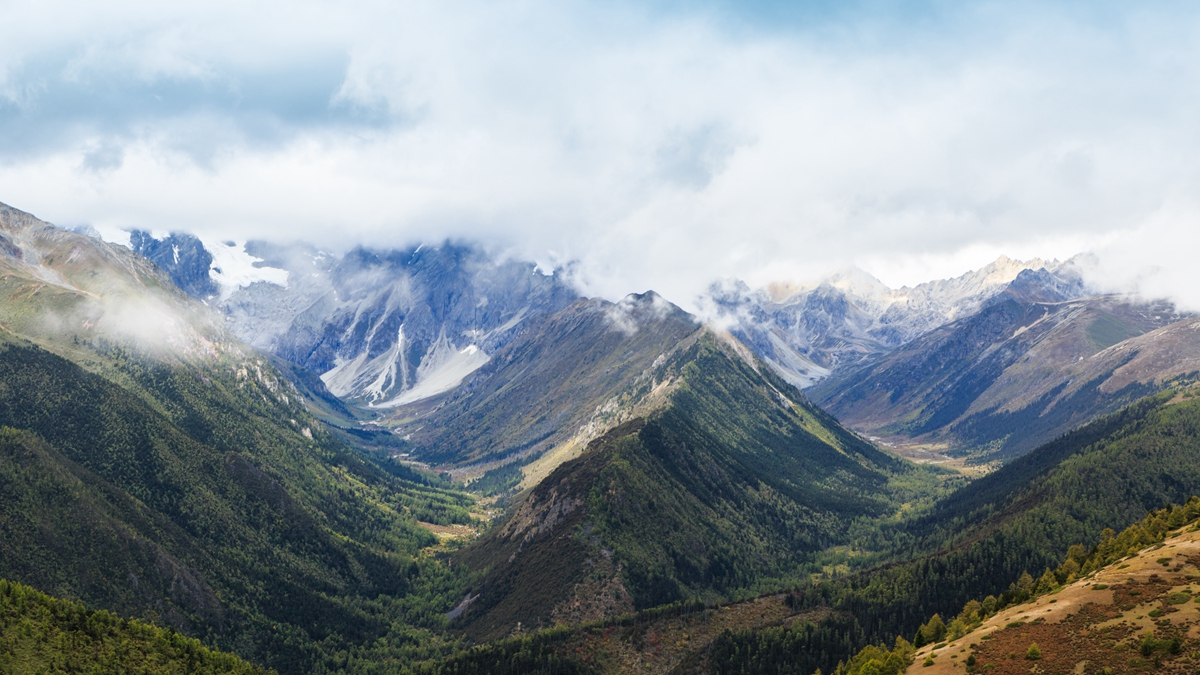 白马雪山-5.jpg