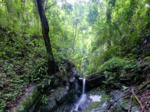 热带雨林峡谷