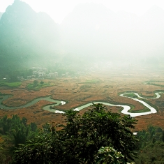 巴马命河