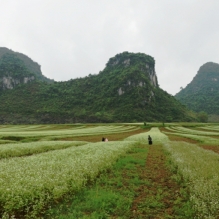 布泉乡风光