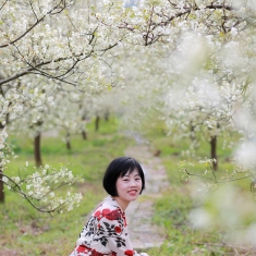 2019年山楂花之恋