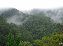 广西贺州大桂山