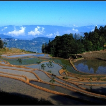 元阳梯田