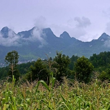 山青水秀