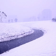 雪中即景----沙湖公园