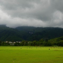 山区小草原