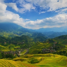 龙脊梯田