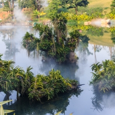 瑶池仙境-青秀山兰园