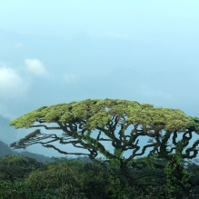 金秀圣堂山风光