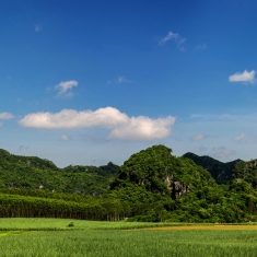 绿野、蓝天、白云