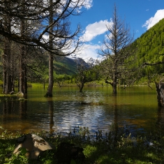 川西魅力行之--------四姑娘山双构桥风景