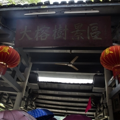 大榕树景区