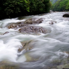 高 山 流 水