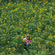 花季