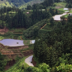 柳州三江岑牙梯田