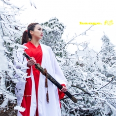 雪山女剑侠