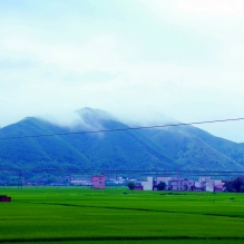 雷雨后的稻田