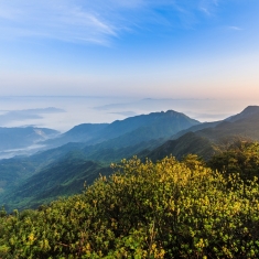 猫儿山‘华南之巅’观云海