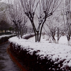 武汉江滩雪景